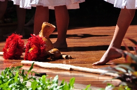 オアフ島　フラ留学プログラム＆ハワイアンカルチャーツアー